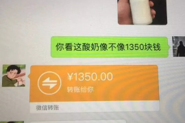 屯昌为什么选择专业追讨公司来处理您的债务纠纷？